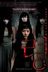 Привидение 2004 постер