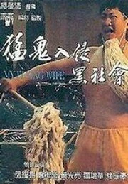 Постер Моя летающая жена 1991