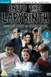 В лабиринт 1981 постер