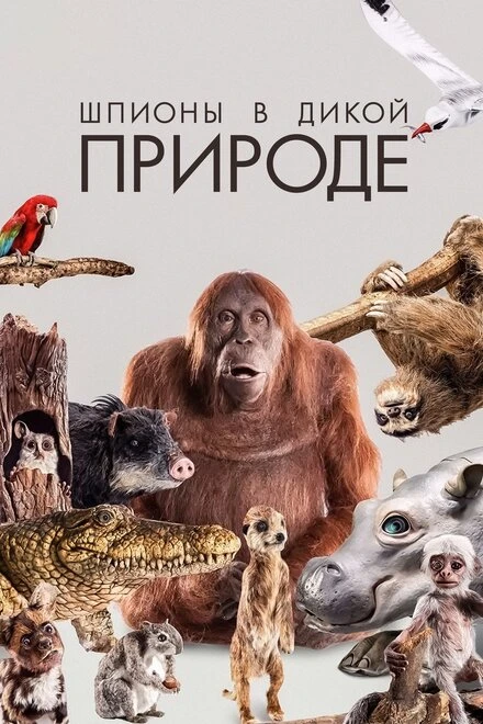 Постер Шпионы в дикой природе 2017