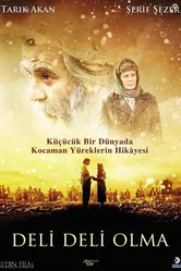 Не сходи с ума 2009 постер