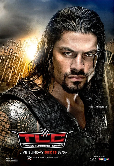 Постер WWE ТЛС: Столы, лестницы и стулья 2015