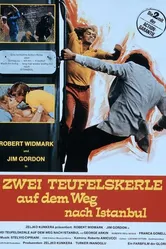 Мошенники 1976 постер