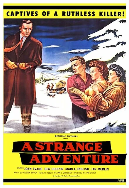 Постер A Strange Adventure 1956