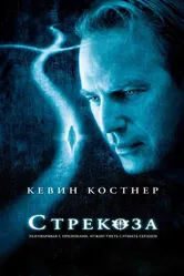 Стрекоза 2002 постер