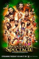 WWE Superstar Spectacle постер