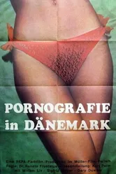 Порнография в Дании 1970 постер