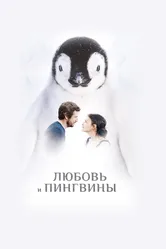 Любовь и пингвины 2016 постер