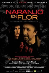Апельсиновое дерево в цветке 2008 постер