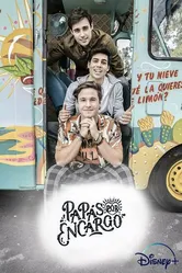 Papás por Encargo постер