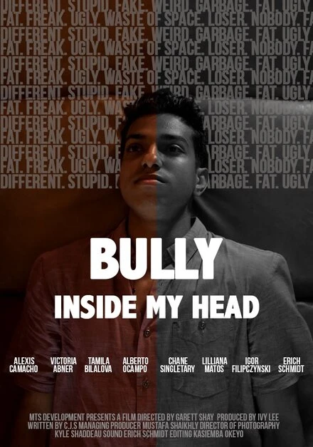 Постер The Bully Inside My Head
