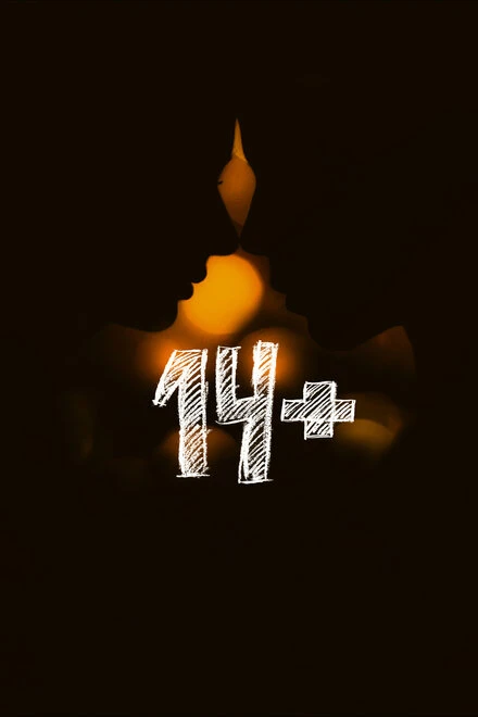 Постер 14+ 2015