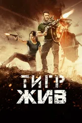 Тигр жив 2017 постер
