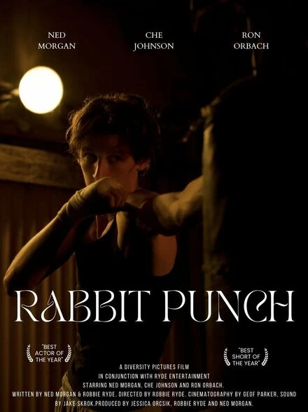 Постер Rabbit Punch 2022