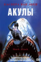Акулы 1999 постер