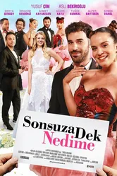 Sonsuza Dek Nedime постер