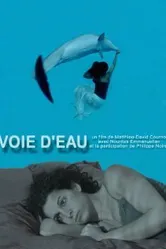 Voie d'eau постер