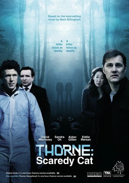 Постер Торн: Пуганая ворона 2010