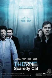 Торн: Пуганая ворона 2010 постер