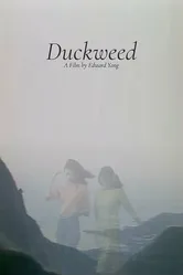 Ряска 1981 постер