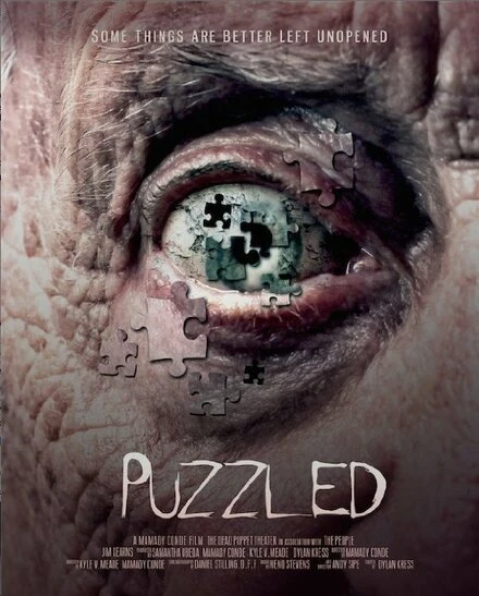 Постер Puzzled 2014