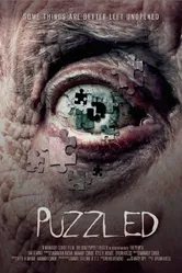 Puzzled 2014 постер