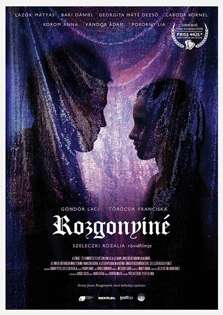 Постер Mrs. Rozgonyi