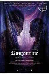 Mrs. Rozgonyi постер