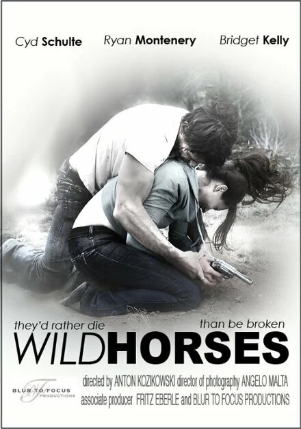 Постер Wild Horses 2010