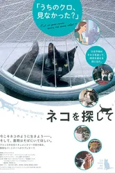 La voie du chat постер