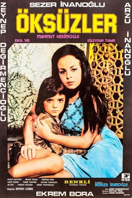 Постер Сироты 1973