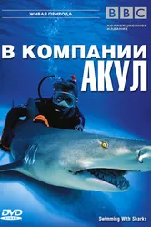 BBC: В компании акул 2002 постер