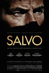 Сальво 2013 постер