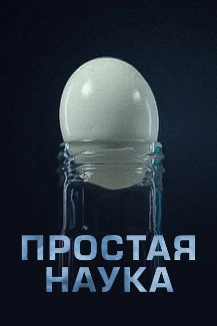 Постер Простая наука 2013