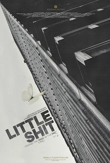 Постер Little Shit