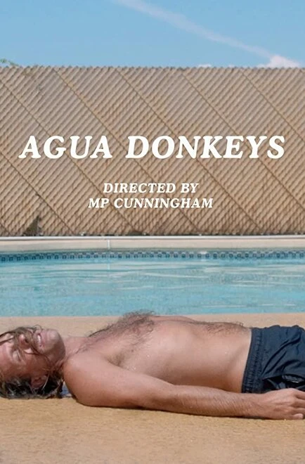 Постер Agua Donkeys