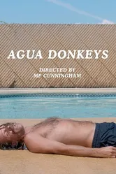 Agua Donkeys постер