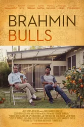 Brahmin Bulls постер