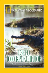НГО: Озеро 1000 крокодилов 2007 постер