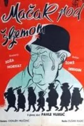 Кот под шлемом 1962 постер