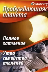 Пробуждающаяся планета 2004 постер