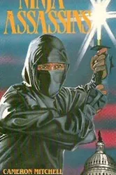 Ninja Assassins постер