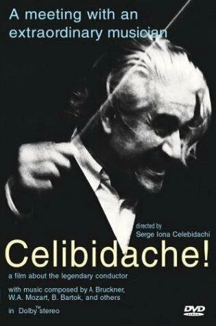 Постер Celibidache