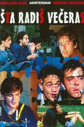 Sta radis veceras постер