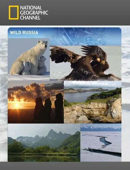 Постер Дикая природа России 2008