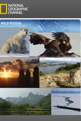 Дикая природа России 2008 постер