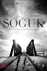 Холод 2013, Турция постер