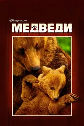 Медведи 2014 постер