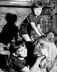 Постер У меня есть лев 1975