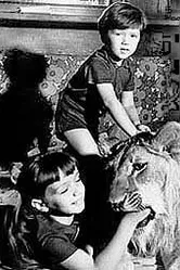 У меня есть лев 1975 постер